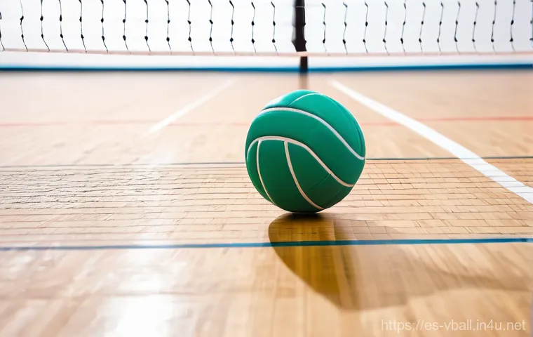 배구 경기 중 공기 저항 영향 - **"Dynamic indoor volleyball scene. A focused female volleyball player in athletic shorts and a jers... 배구 경기 중 공기 저항 영향 - **"Dynamic indoor volleyball scene. A focused female volleyball player in athletic shorts and a jers...